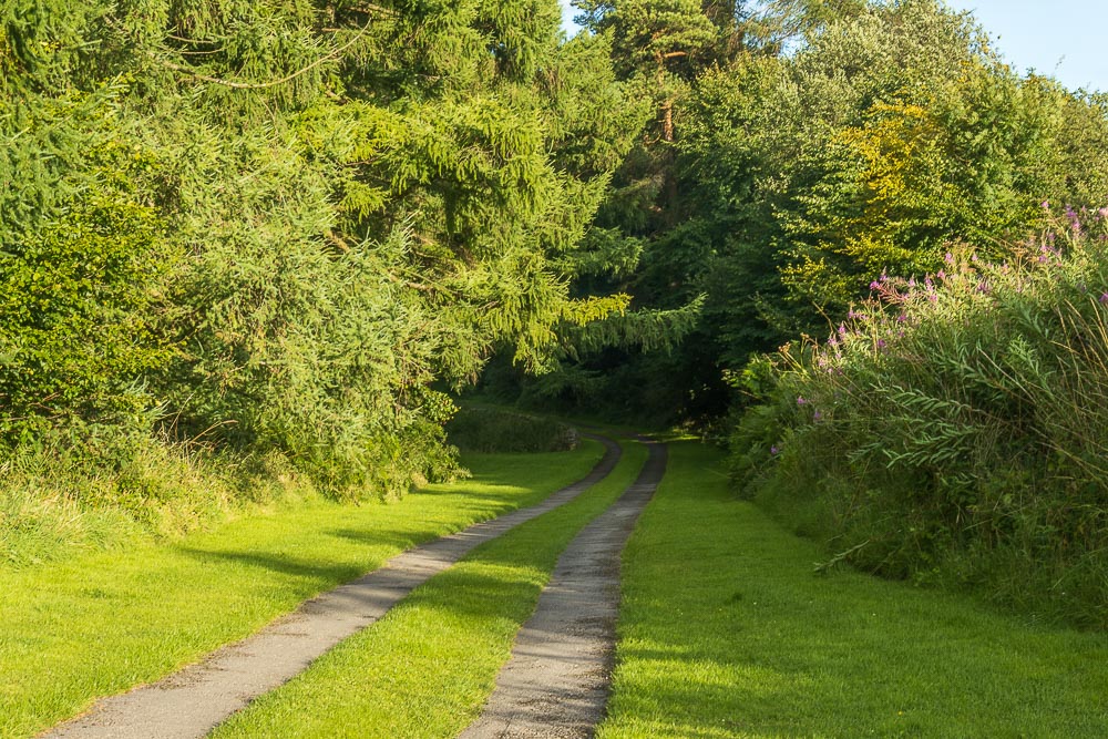 Kenslow Wood